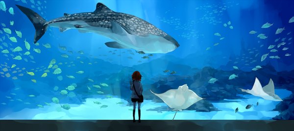 Anime picture 1200x539 with original ayakii single short hair wide image red hair sunlight sunbeam girl thighhighs black thighhighs animal water school bag fish (fishes) aquarium whale stingray