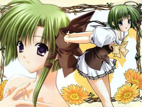 Anime picture 1024x768 with shuffle! shigure asa flower (flowers) tagme