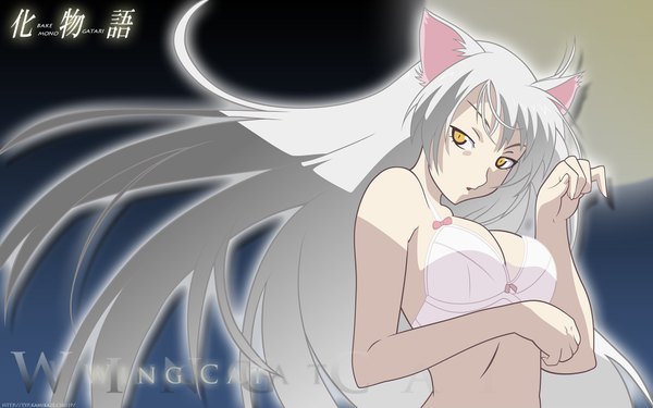 Anime picture 1920x1200 with bakemonogatari shaft (studio) monogatari (series) hanekawa tsubasa black hanekawa highres light erotic wide image cat girl girl