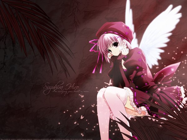 Anime picture 1600x1200 with original suzuhira hiro single short hair pink hair black eyes angel wings girl ribbon (ribbons) hair ribbon hat wings insect butterfly