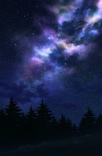 Anime picture 675x1034 with original nagomu00 tall image cloud (clouds) night night sky milky way plant (plants) tree (trees) star (stars) forest stone (stones)