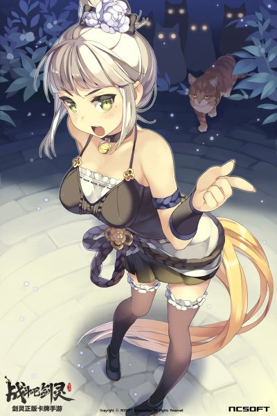 Anime picture 800x1200 with blade & soul btoor single tall image looking at viewer blush short hair open mouth yellow eyes white hair hair flower girl thighhighs dress flower (flowers) black thighhighs plant (plants) animal cat