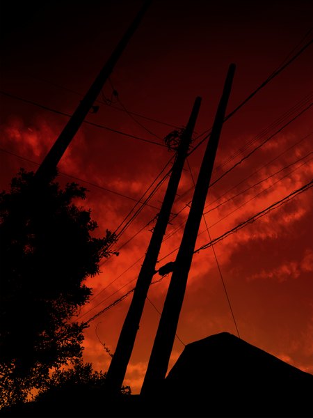 Anime picture 1224x1632 with original kibunya 39 tall image sky cloud (clouds) evening sunset landscape plant (plants) tree (trees) power lines