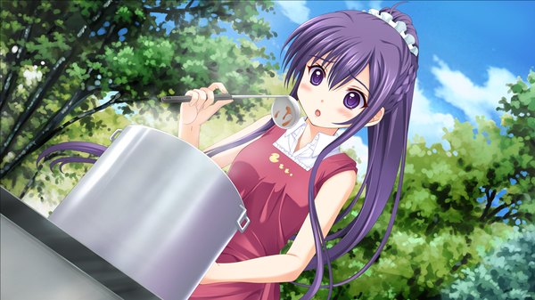 Anime picture 1024x576 with owaru sekai to birthday tagme (character) single long hair blush fringe open mouth hair between eyes wide image standing purple eyes bare shoulders holding game cg sky purple hair cloud (clouds) ahoge outdoors ponytail