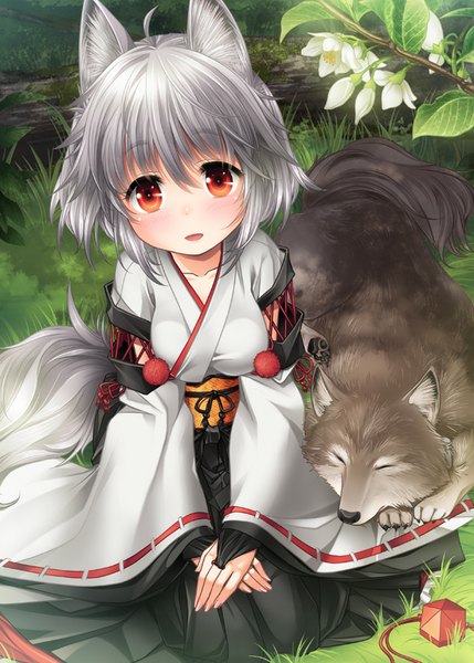 Anime picture 572x800 with touhou inubashiri momiji kei kei tall image looking at viewer blush short hair breasts open mouth red eyes sitting animal ears silver hair ahoge bent knee (knees) tail long sleeves traditional clothes japanese clothes animal tail