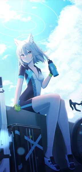Anime picture 3384x7079 with blue archive shiroko (blue archive) akazaki yukino single tall image fringe highres short hair blue eyes hair between eyes sitting animal ears absurdres sky silver hair cloud (clouds) outdoors girl gloves halo