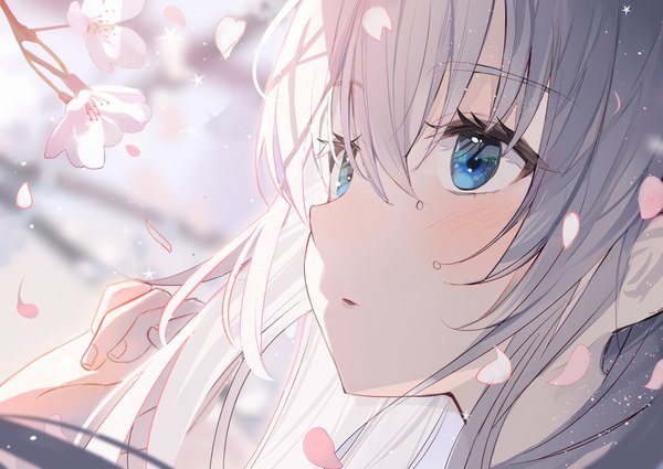Anime picture 3541x2508 with original aroa (aroamoyasi) single long hair blush fringe highres blue eyes hair between eyes looking away absurdres silver hair upper body cherry blossoms girl petals