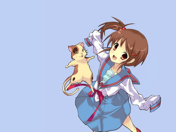 Anime picture 1024x768 with suzumiya haruhi no yuutsu kyoto animation kyon no imouto shamisen (suzumiya haruhi) wallpaper jpeg artifacts oversized clothes girl uniform school uniform serafuku cat