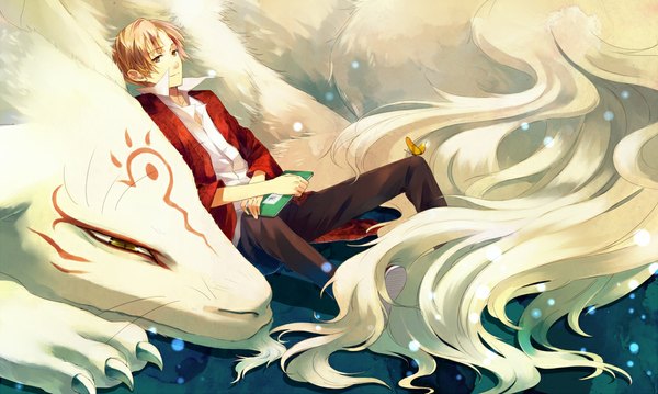 Anime picture 1024x614 with natsume yuujinchou brains base (studio) natsume takashi madara (nyanko-sensei) a-boo looking at viewer highres brown hair wide image sitting brown eyes boy animal insect butterfly notebook