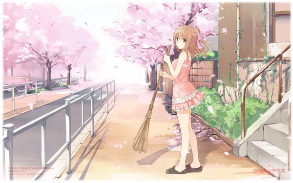 Anime picture 1920x1200 with hinata terrace yaotome mai miz long hair highres brown hair wide image brown eyes ponytail cherry blossoms girl dress bow plant (plants) hair bow petals tree (trees) grass broom