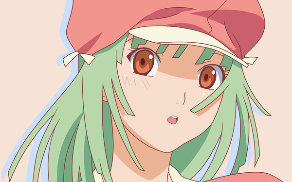 Anime picture 3840x2400 with bakemonogatari shaft (studio) monogatari (series) sengoku nadeko single long hair looking at viewer highres simple background wide image brown eyes green hair :o shadow close-up vector girl hat