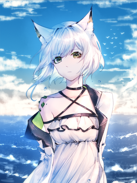 Anime picture 631x842 with arknights kal'tsit (arknights) windworker single tall image looking at viewer fringe short hair standing green eyes animal ears sky cloud (clouds) upper body outdoors white hair off shoulder open jacket horizon frilled dress