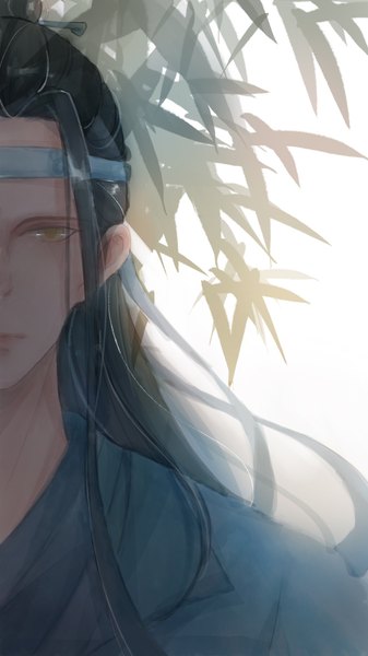 Anime picture 1080x1920 with mo dao zu shi lan wangji yi dao a single long hair tall image looking at viewer black hair simple background white background yellow eyes hair bun (hair buns) portrait head out of frame expressionless boy branch