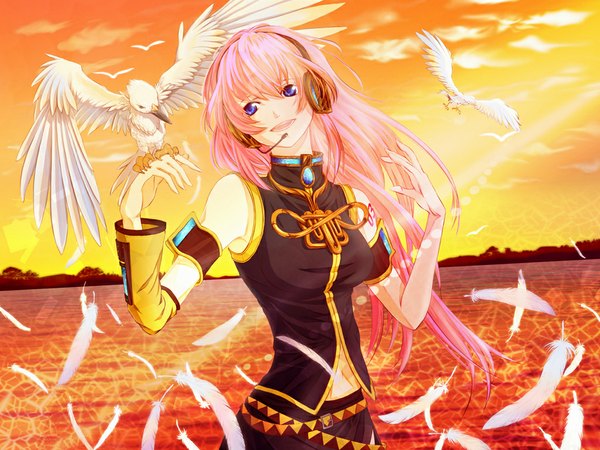 Anime picture 1024x768 with vocaloid megurine luka single long hair blue eyes pink hair sunlight evening sunset girl navel detached sleeves water headphones feather (feathers)