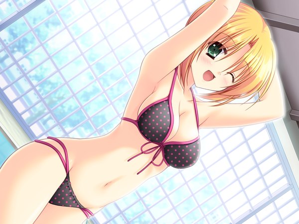 イラスト 1600x1200 と petapeta shiokawa aya hazumi rio 赤面 短い髪 おっぱい 開いた口 light erotic 金髪 緑の目 game cg one eye closed ウィンク 女の子 へそ 水着 ビキニ (水着) polka dot bikini