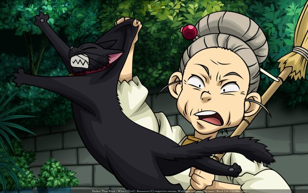 Anime picture 1920x1200 with darker than black studio bones mao (darker than black) asa00 highres open mouth wide image grey hair old woman plant (plants) animal cat broom