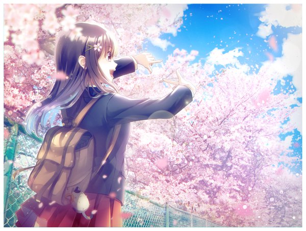 Anime picture 1230x930 with original natsuki yuka single long hair open mouth black hair sky cloud (clouds) outdoors wind cherry blossoms border looking up spring girl uniform school uniform petals hairclip backpack