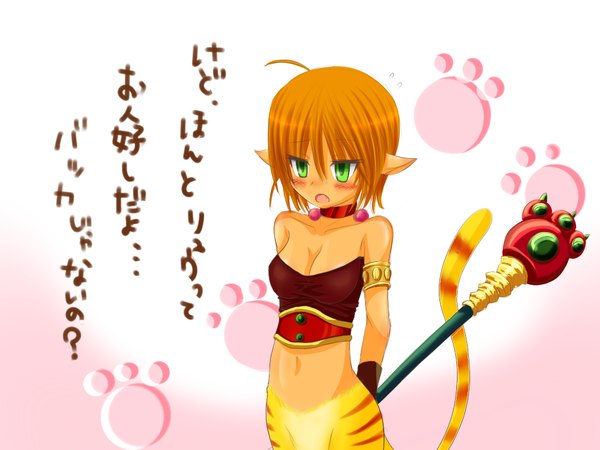 Anime picture 1024x768 with breath of fire breath of fire ii rinpoo chuan green eyes animal ears ahoge red hair tail cat ears bottomless