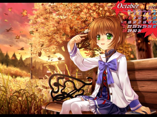 Anime picture 2000x1500 with card captor sakura clamp kinomoto sakura mutsuki (moonknives) highres autumn thighhighs bench calendar