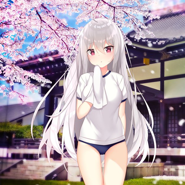 Anime picture 1500x1500 with niliu chahui tokisaki mio jyt single long hair looking at viewer blush fringe open mouth light erotic hair between eyes red eyes standing sky silver hair cloud (clouds) ahoge outdoors short sleeves cherry blossoms