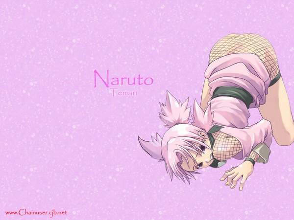 Anime picture 1024x768 with naruto studio pierrot naruto (series) temari (naruto) light erotic quad tails tagme