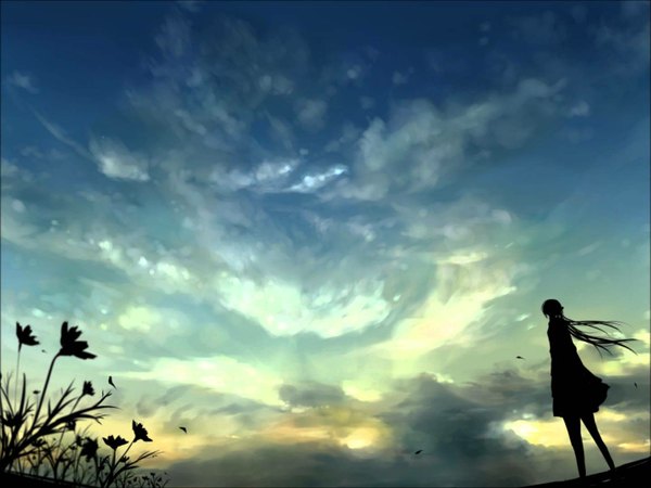 Anime picture 1440x1080 with original kabe neko single long hair sky cloud (clouds) wind sunlight silhouette girl flower (flowers) petals