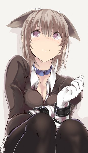 Anime picture 764x1324 with original touma raito single tall image blush fringe short hair breasts simple background brown hair white background purple eyes animal ears cleavage looking up girl gloves pantyhose white gloves collar