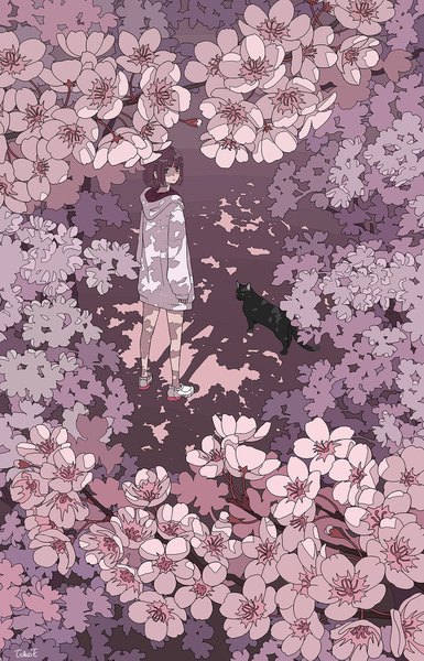 Anime picture 1200x1867 with original seraphitalg single tall image short hair brown hair full body looking back from above shadow cherry blossoms spring girl flower (flowers) animal hood cat