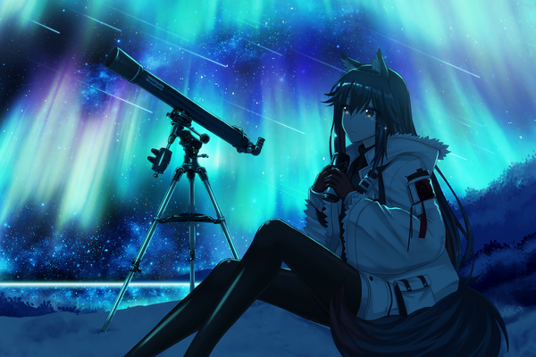 Anime picture 2400x1600 with arknights texas (arknights) texas (winter messenger) (arknights) uiu single long hair fringe highres black hair hair between eyes sitting holding brown eyes animal ears payot bent knee (knees) outdoors tail animal tail night