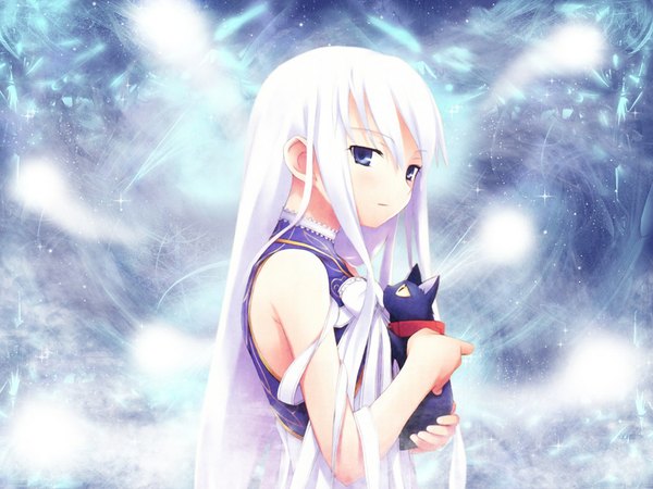 Anime picture 1024x768 with shinigami no ballad momo (shinigami no ballad) daniel nanakusa long hair looking at viewer blue eyes bare shoulders holding white hair wallpaper sleeveless blue background girl cat