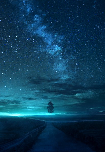 Anime picture 1042x1514 with original mks tall image sky cloud (clouds) night night sky no people scenic plant (plants) tree (trees) star (stars) road