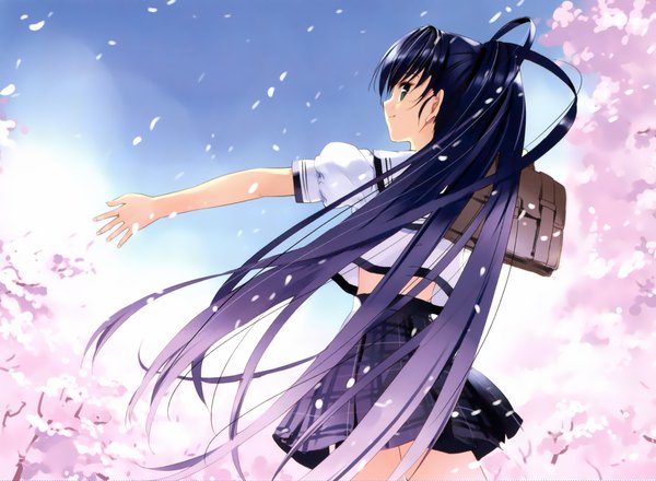 Anime picture 2428x1781 with soshite ashita no sekai yori itsuki aoba ueda ryou single long hair highres blue eyes black hair ponytail cherry blossoms girl skirt uniform school uniform miniskirt petals school bag