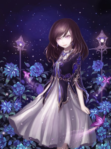 Anime picture 1200x1600 with original rinmmo single long hair tall image fringe hair between eyes brown hair standing purple eyes looking away outdoors lips night night sky girl dress flower (flowers) earrings insect