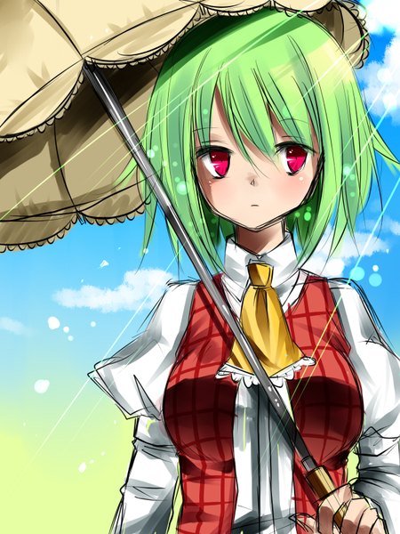 Anime picture 1200x1600 with touhou kazami yuuka our turf tall image short hair red eyes green hair girl umbrella