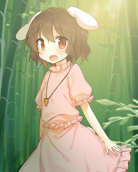Anime picture 999x1241 with touhou inaba tewi shnva single tall image looking at viewer blush short hair open mouth red eyes brown hair animal ears tail animal tail bunny ears bunny girl bunny tail bamboo forest girl dress