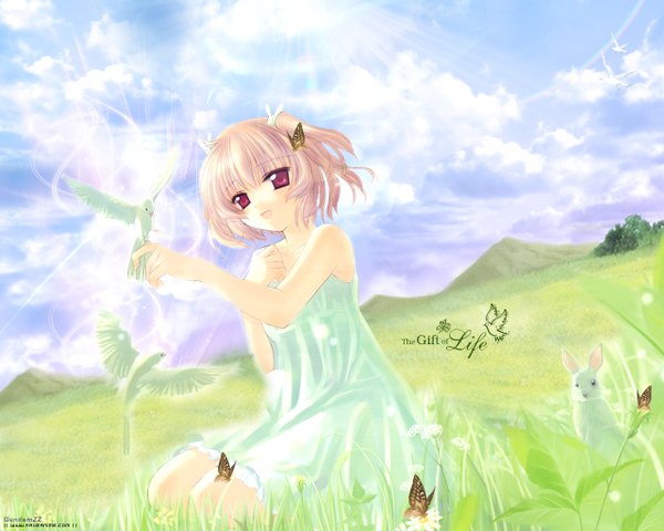 Anime picture 1280x1024 with angelic serenade angel rabbie naruse chisato single sitting bare shoulders looking away pink hair sky cloud (clouds) full body bent knee (knees) red hair inscription mountain nature field bird on hand dress ribbon (ribbons)