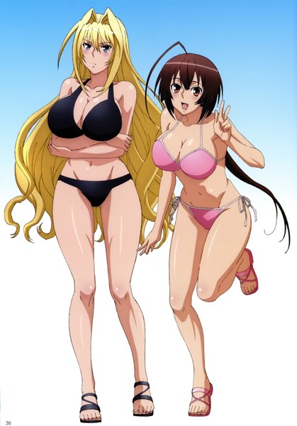 Anime picture 4776x6840 with sekirei tsukiumi musubi long hair tall image highres breasts blue eyes light erotic simple background blonde hair brown hair large breasts multiple girls brown eyes absurdres ahoge victory girl navel