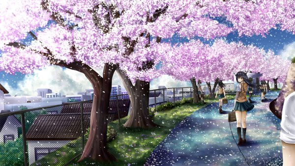 Anime picture 1920x1080 with original ilolamai long hair highres black hair wide image multiple girls yellow eyes looking back cherry blossoms 6+ girls 7 girls girl uniform plant (plants) school uniform petals tree (trees) socks black socks