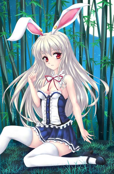 Anime picture 789x1200 with touhou reisen udongein inaba fred0092 long hair tall image red eyes animal ears white hair night bunny ears girl thighhighs dress plant (plants) white thighhighs moon bamboo