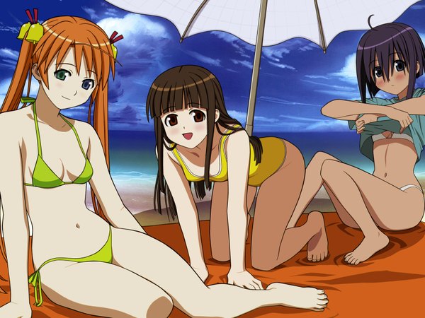 Anime picture 1600x1200 with mahou sensei negima! kagurazaka asuna miyazaki nodoka konoe konoka heterochromia swimsuit