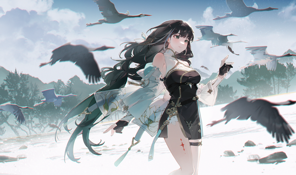Anime picture 3859x2282 with wuthering waves baizhi (wuthering waves) kaeki single long hair highres black hair wide image green eyes looking away absurdres sky cloud (clouds) outdoors tacet mark (wuthering waves) girl animal bird (birds) thigh strap crane (bird)