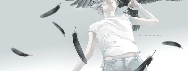 Anime picture 1426x545 with original re (artist) single short hair wide image lips grey hair pale skin boy animal bird (birds) feather (feathers) t-shirt crow
