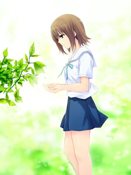 Anime picture 768x1024 with original coffee-kizoku single tall image short hair blue eyes brown hair girl skirt shirt serafuku leaf (leaves)