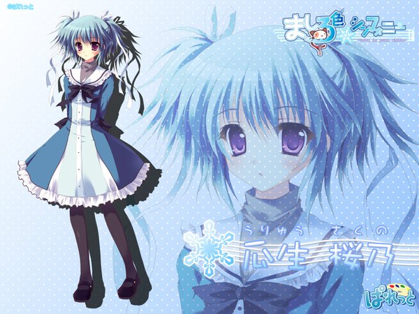 Anime picture 1600x1200 with mashiroiro symphony uryuu sakuno purple eyes blue hair girl
