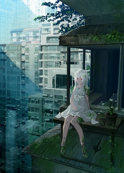 Anime picture 714x1000 with original ac (eshi) single long hair tall image fringe red eyes sitting bare shoulders white hair sunlight no shoes city cityscape albino girl dress plant (plants) animal tree (trees)