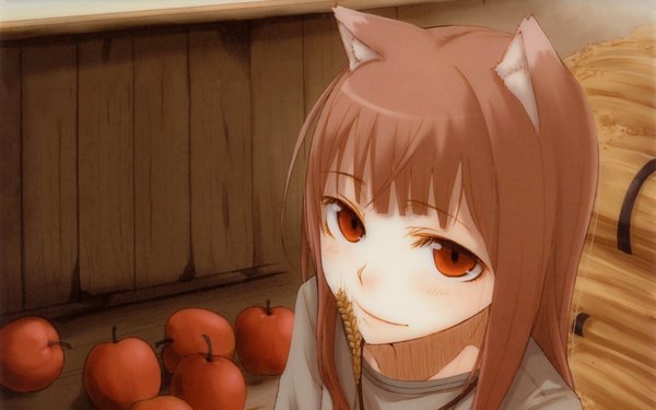 Anime picture 1920x1200 with spice and wolf horo single long hair highres red eyes brown hair wide image animal ears light smile face wolf ears wolf girl girl table apple colossus