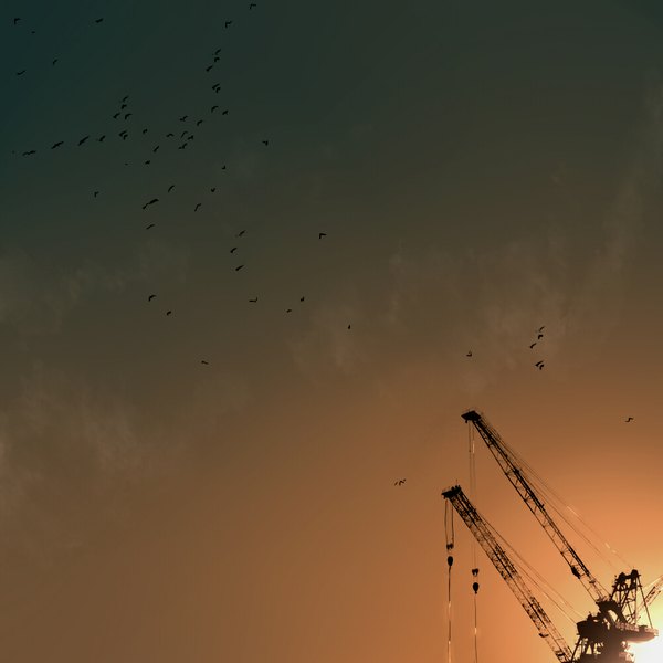 Anime picture 1000x1000 with original kibunya 39 sky sunlight no people animal bird (birds) sun crane