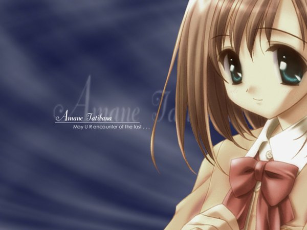 Anime picture 1024x768 with canvas (anime) girl tagme