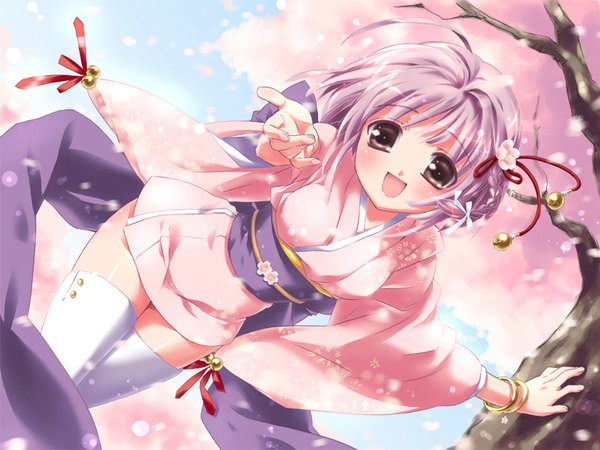 Anime picture 1536x1152 with blush open mouth purple hair japanese clothes cherry blossoms thighhighs white thighhighs kimono obi yukata