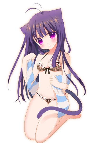 Anime picture 968x1404 with original kuromaru single long hair tall image looking at viewer blush light erotic simple background white background purple eyes animal ears purple hair tail animal tail cat ears cat girl cat tail girl swimsuit